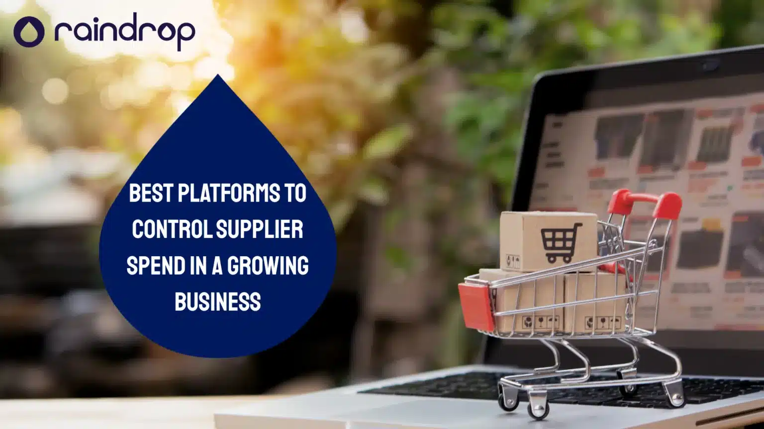 Best Platforms to Control Vendor Spend in a Growing Business 4 1536x864